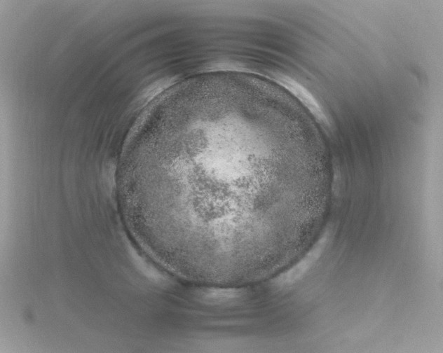 X0000115580849200911241511