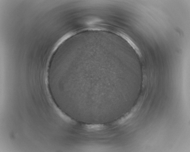 X0000115580853200911241511