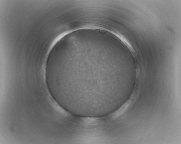 X0000115580854200911241511