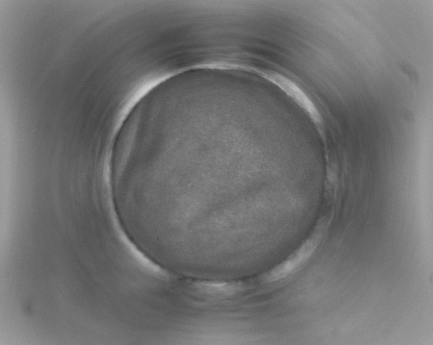 X0000115580855200911241511