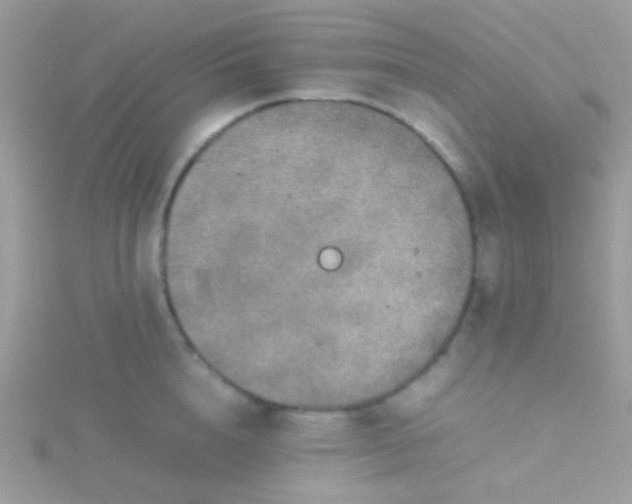 X0000115580856200911241511