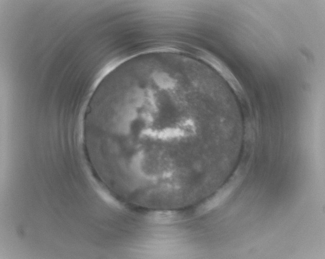 X0000115580858200911241511