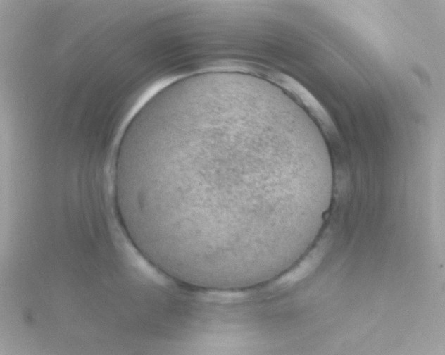 X0000115580860200911241511