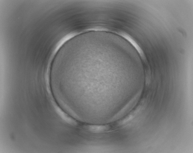 X0000115580861200911241511