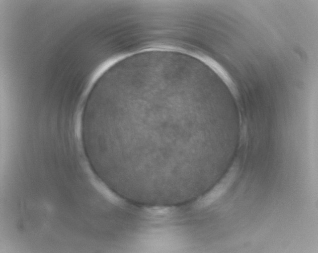 X0000115580862200911241511