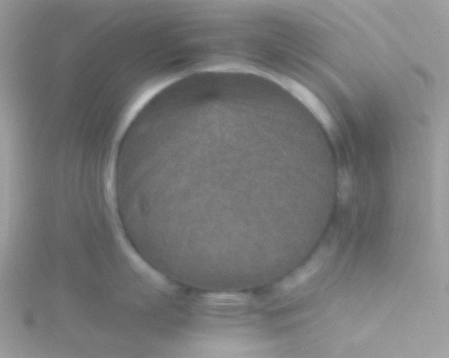 X0000115580863200911241511