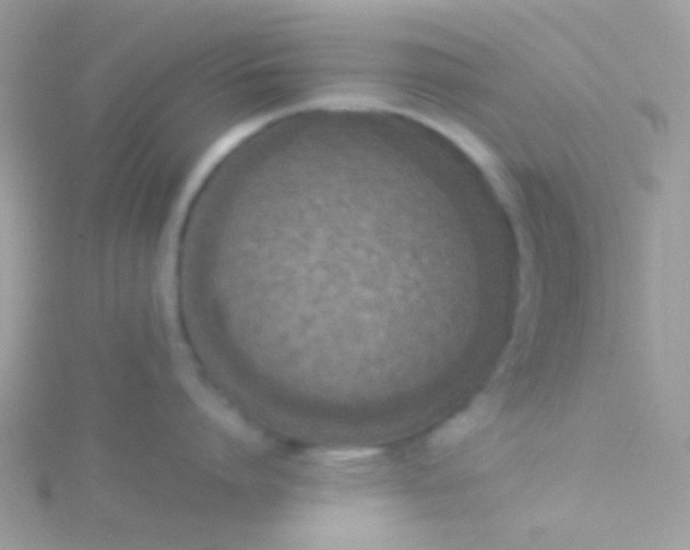 X0000115580864200911241511