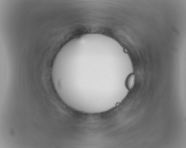 X0000115580865200911241511