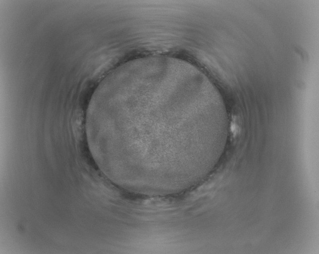 X0000115580867200911241511