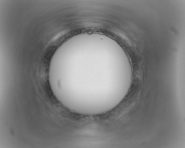 X0000115580869200911241511