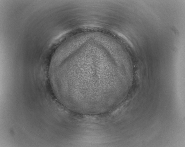 X0000115580870200911241511