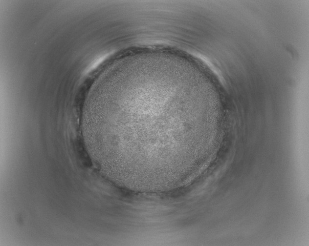 X0000115580871200911241511