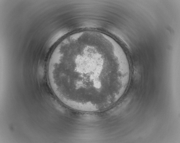 X0000115580874200911241511