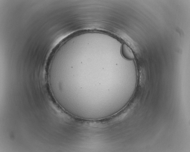 X0000115580876200911241511