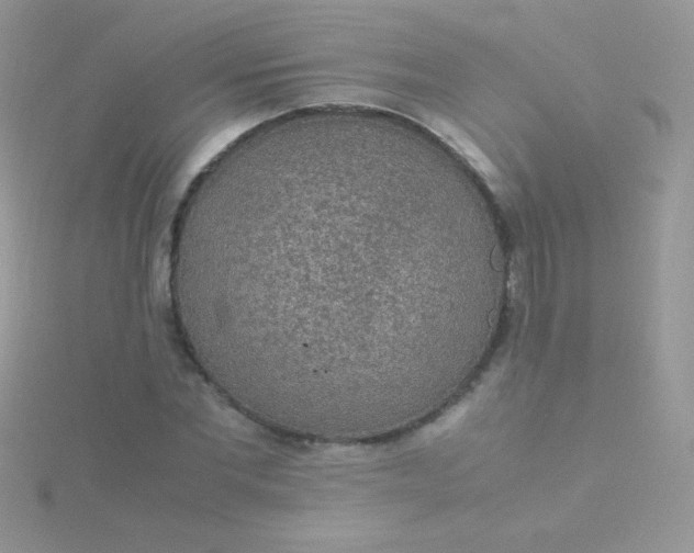 X0000115580877200911241511