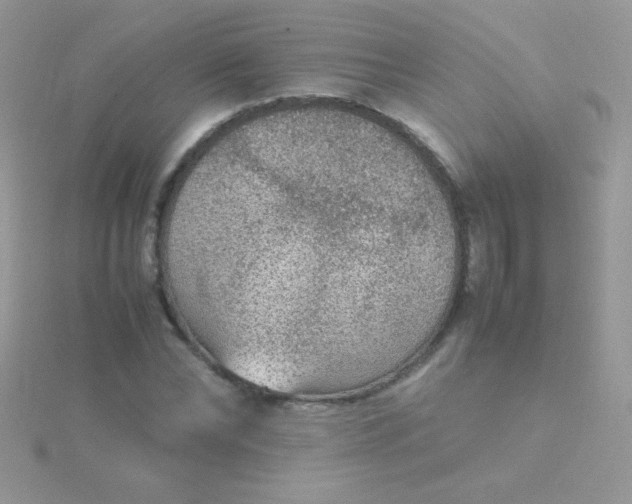 X0000115580878200911241510