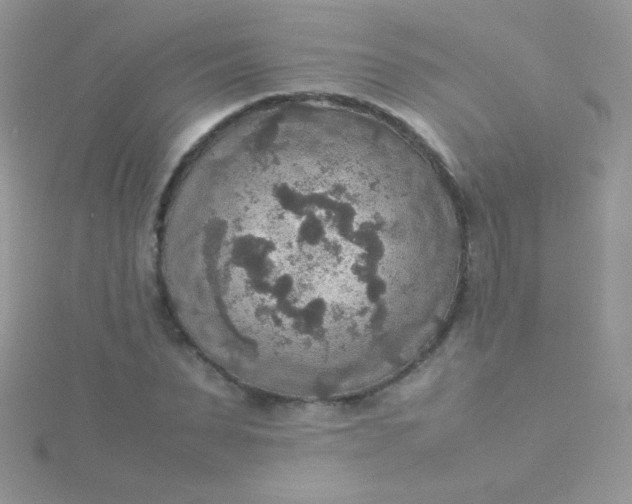 X0000115580879200911241510