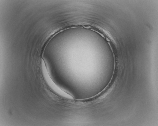 X0000115580881200911241510