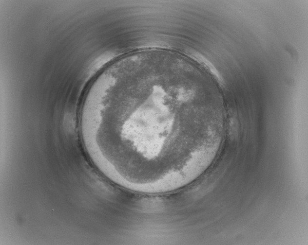 X0000115580882200911241510