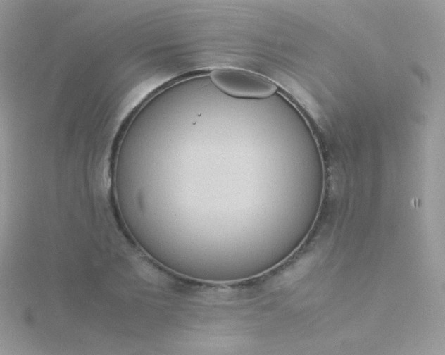 X0000115580885200911241510