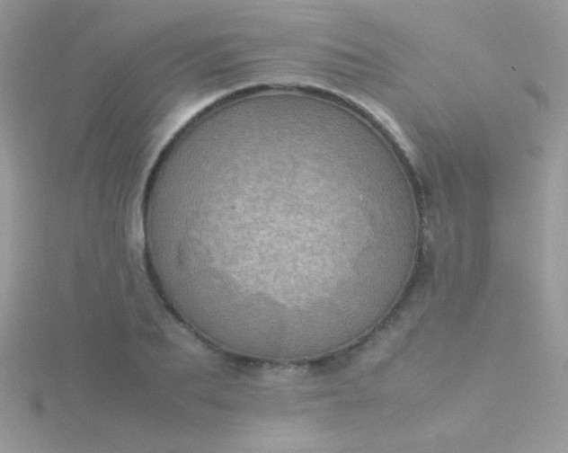 X0000115580887200911241510