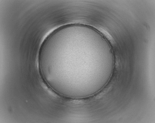 X0000115580888200911241510