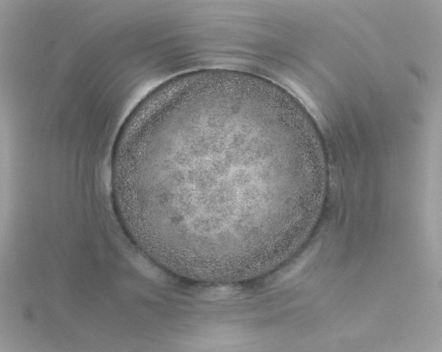 X0000115580891200911241510