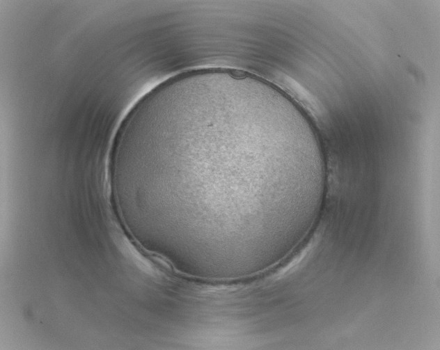 X0000115580892200911241510