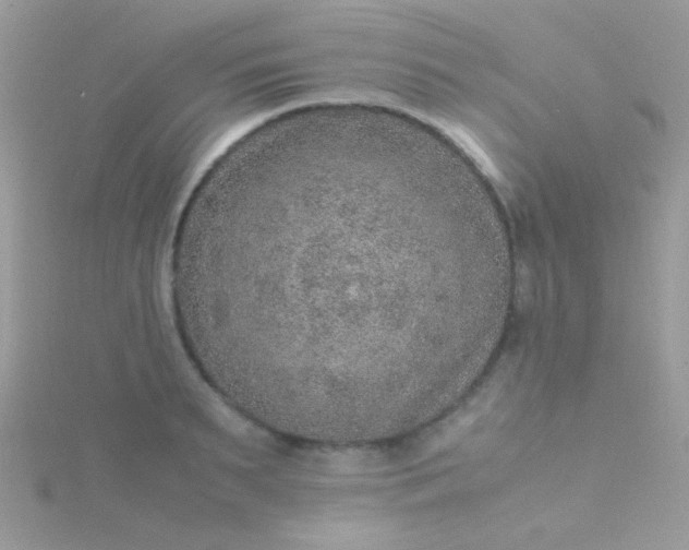 X0000115580895200911241510