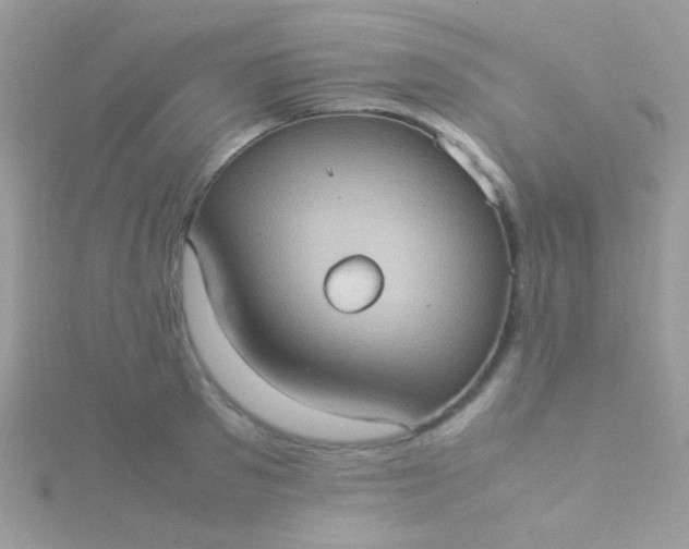 X0000115580897200911241510