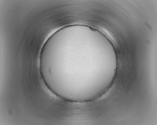 X0000115580900200911241510