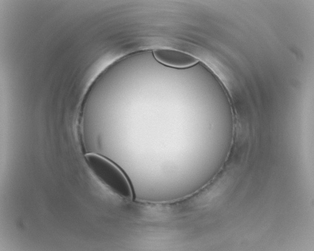 X0000115580901200911241510