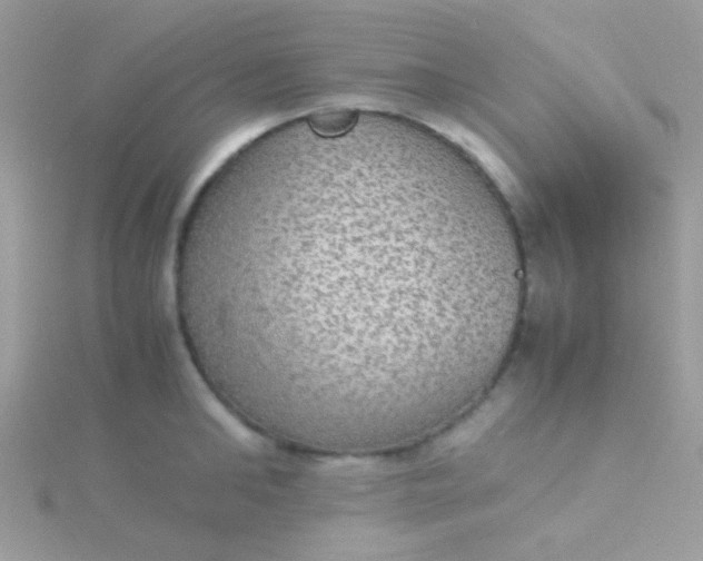 X0000115580902200911241510