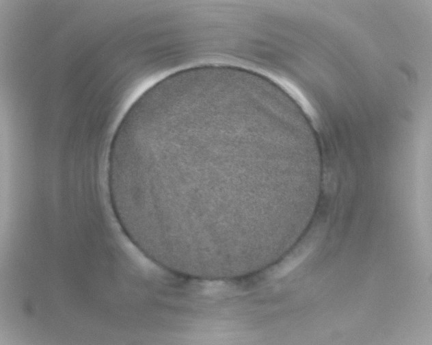 X0000115580903200911241510