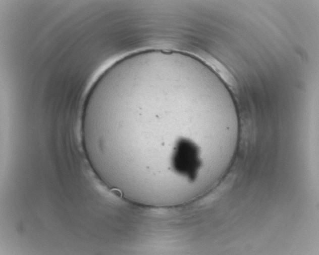 X0000115580904200911241510