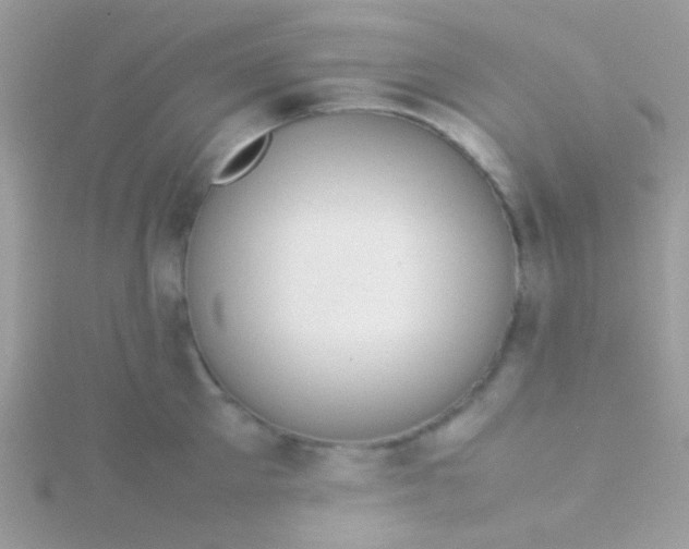 X0000115580905200911241510