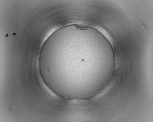 X0000115580906200911241510