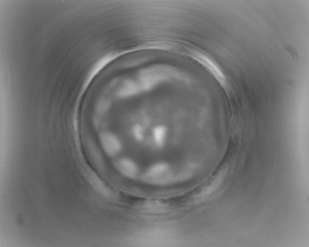 X0000115580907200911241510