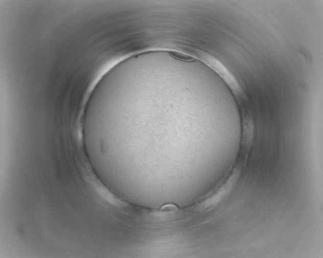 X0000115580908200911241510