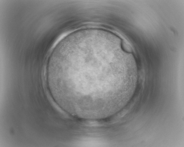 X0000115580911200911241510