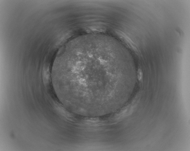 X0000115580915200911241509