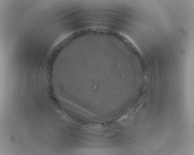 X0000115580919200911241509