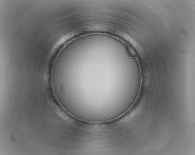 X0000115580922200911241509