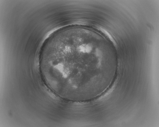 X0000115580923200911241509