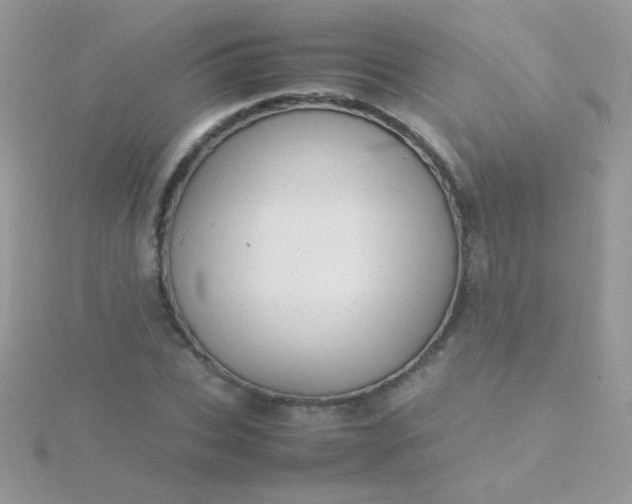 X0000115580927200911241510