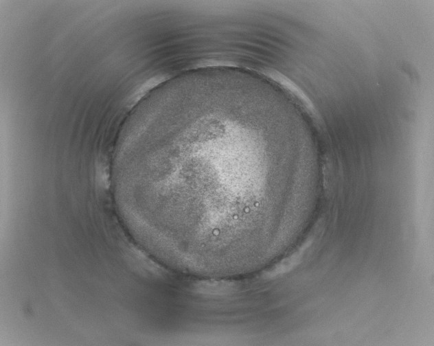 X0000115580929200911241510