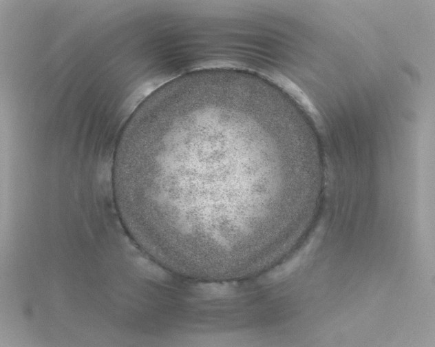 X0000115580937200911241510