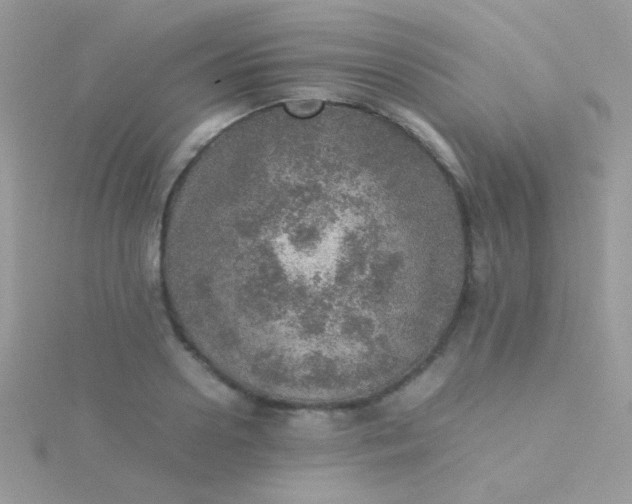 X0000115580938200911241510