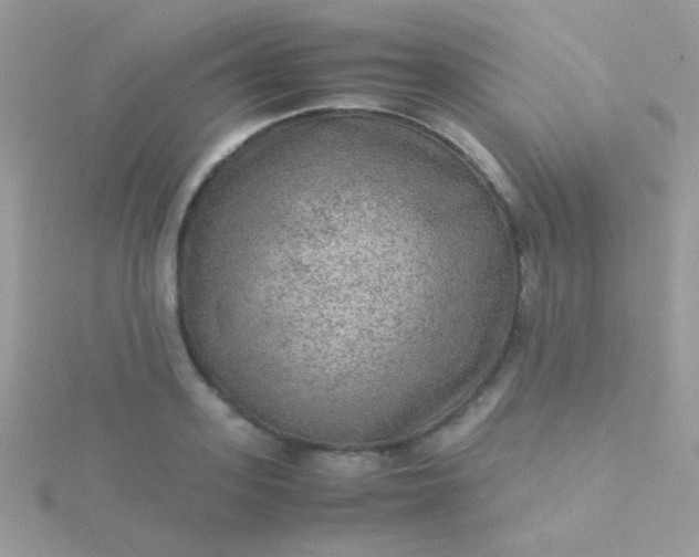 X0000115580939200911241510