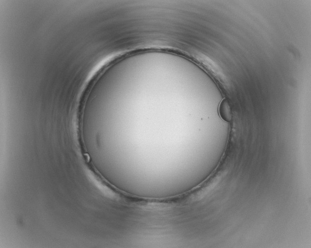 X0000115580942200911241510